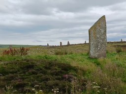 Photo of the standing stone ring at Brodgar Scotland.